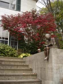 Spirea bushes